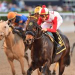 Mufasa - Mr. Prospector Stakes G3 - Ryan Thompson/Coglianese Photo