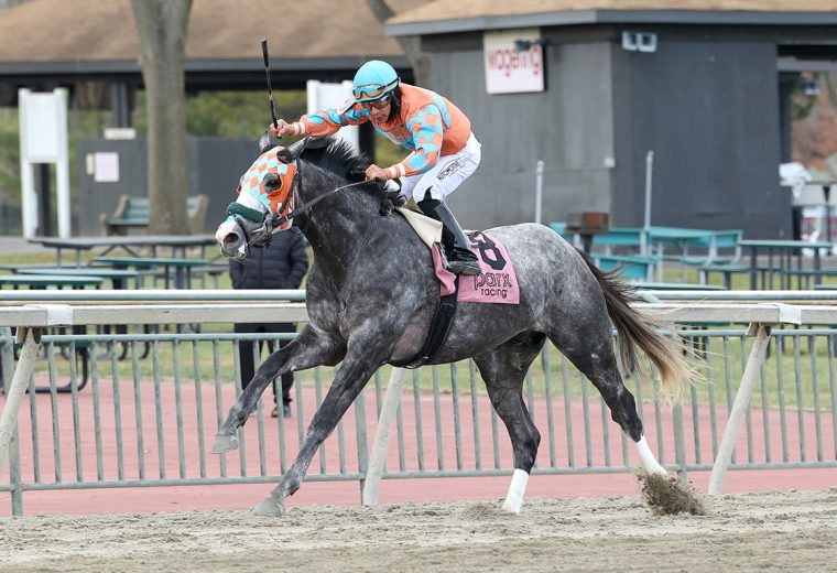 National Law - Nikki Sherman EQUI PHOTO