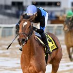 Phileas Fogg - Queens County Stakes - Chelsea Durand/Coglianese Photo