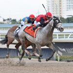 Rocket Can - Harlan's Holiday G3 - Coglianese Photo