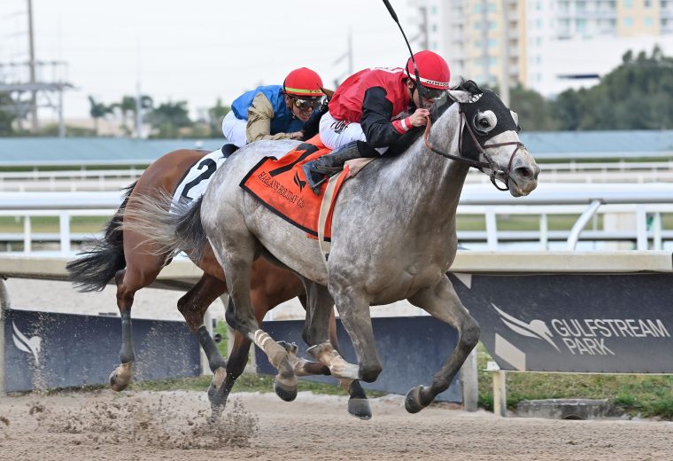 Rocket Can - Harlan's Holiday G3 - Coglianese Photo