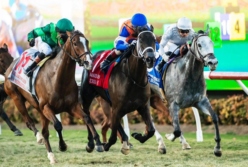 Sacred Wish - Matriarch Stakes G1T - Benoit Photo