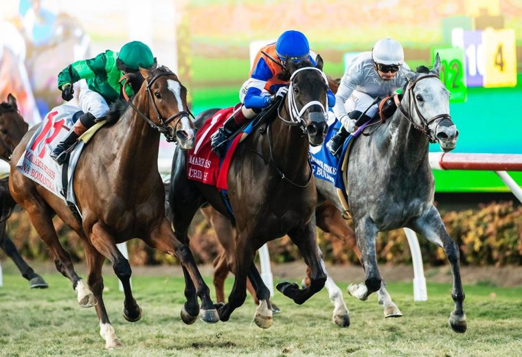 Sacred Wish - Matriarch Stakes G1T - Benoit Photo