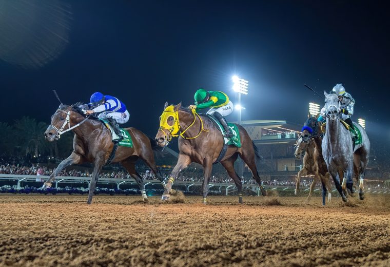 Senor Buscador - Saudi Cup G1 - Mathea Kelley-Jockey Club of Saudi Arabia