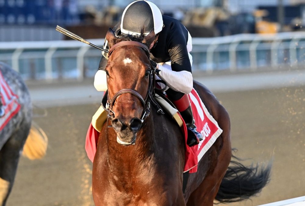 Stonewall Star - Bay Ridge Stakes - Coglianese Photo