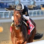 Stonewall Star - Bay Ridge Stakes - Coglianese Photo