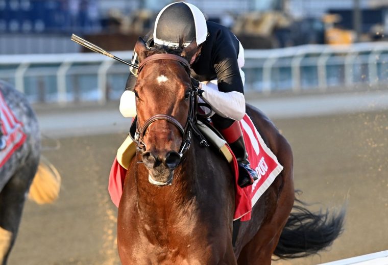 Stonewall Star - Bay Ridge Stakes - Coglianese Photo