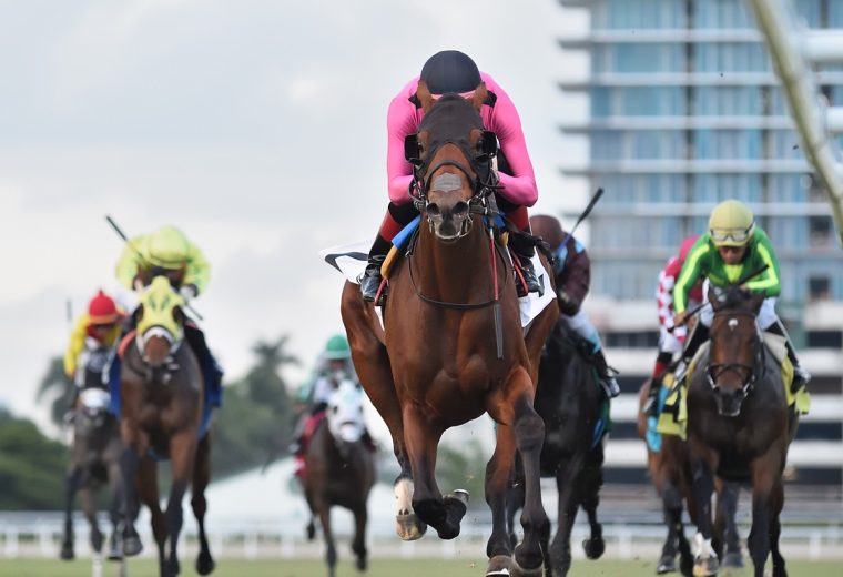 Turf action - Ryan Thompson/Coglianese Photo