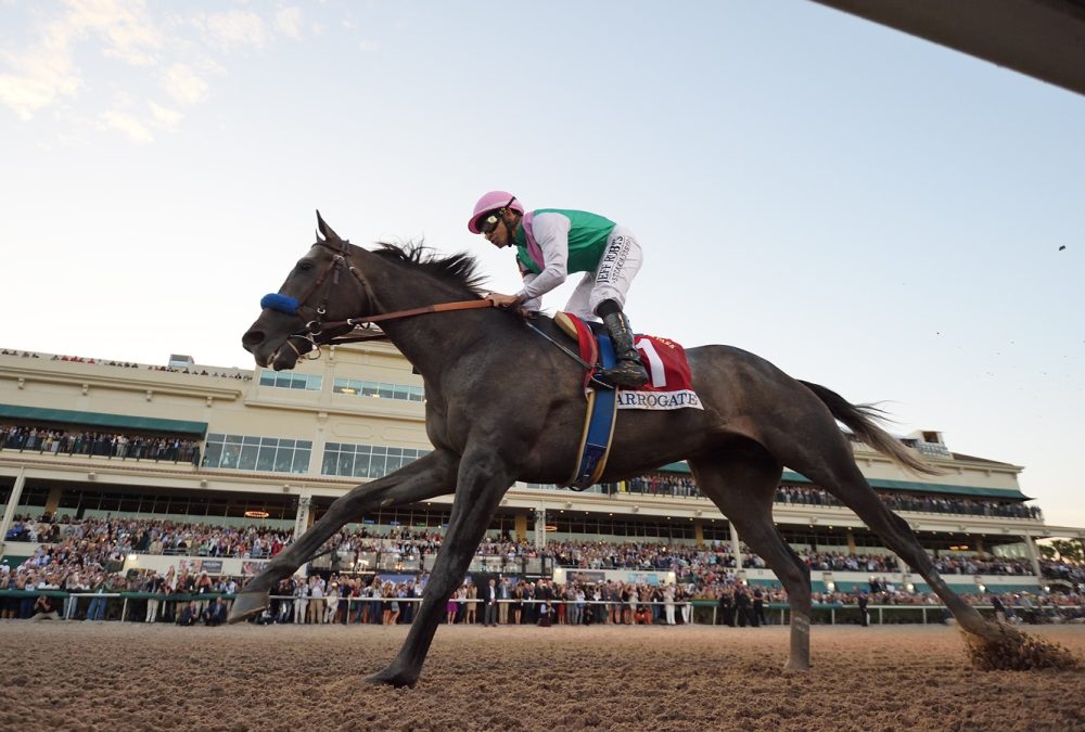 Arrogate - Pegasus World Cup 2017 - Coglianese Photo