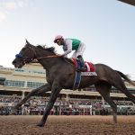 Arrogate - Pegasus World Cup 2017 - Coglianese Photo