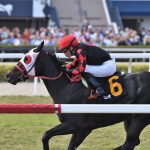 Ashima - Sunshine Filly and Mare Turf Stakes - Ryan Thompson/Coglianese Photo