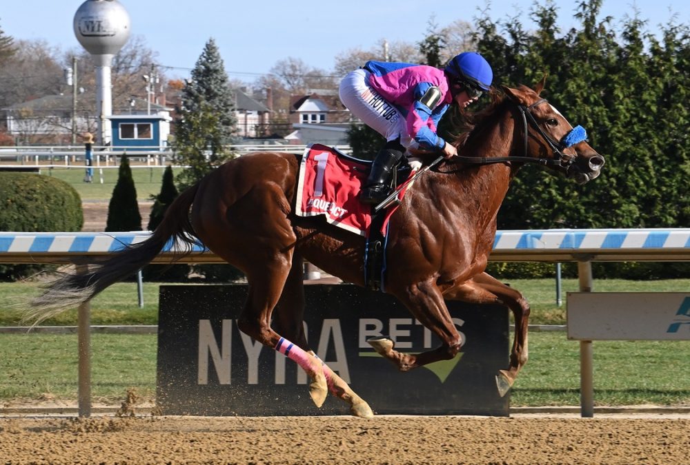 Bernieandtherose - Coglianese Photo