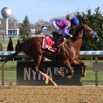 Bernieandtherose - Coglianese Photo