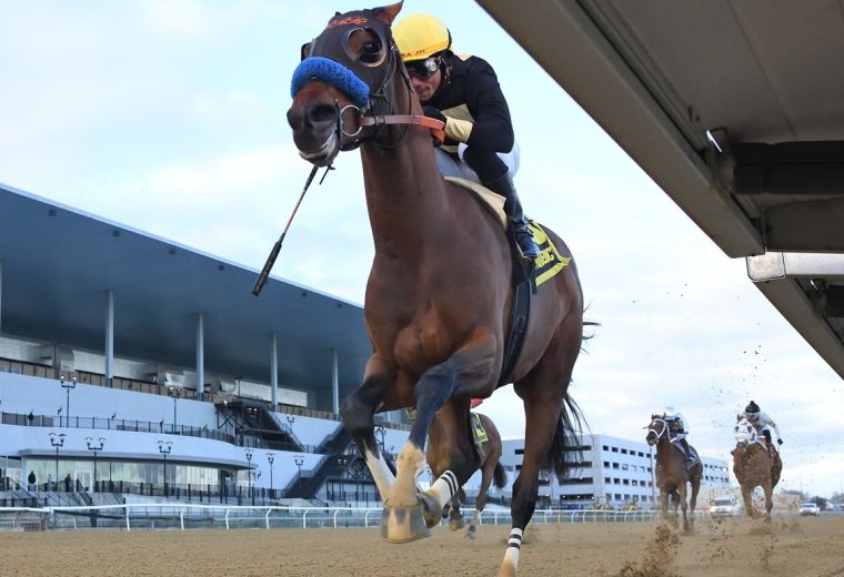 Cyclone State - Jerome Stakes - Coglianese Photo