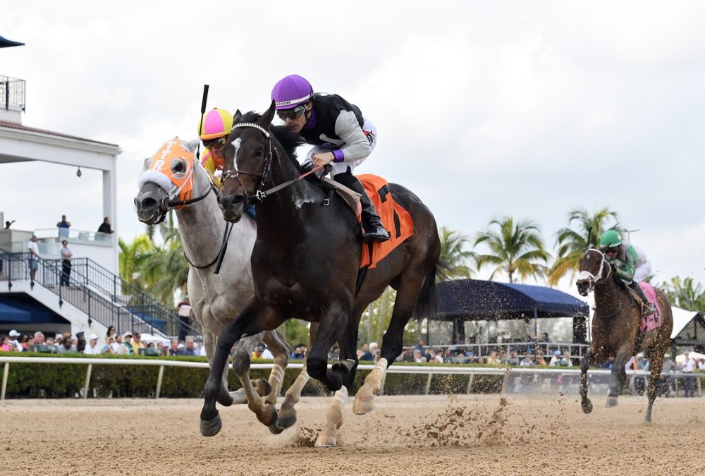 Damon's Mound - Sunshine Sprint Stakes -Ryan Thompson/Coglianese Photo