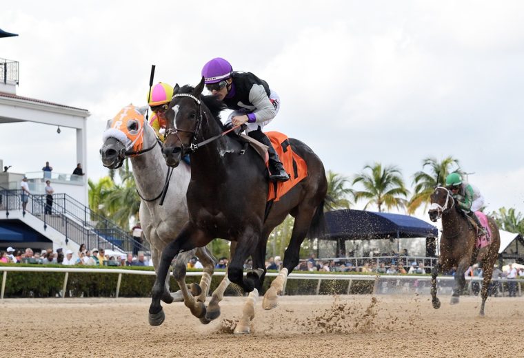 Damon's Mound - Sunshine Sprint Stakes -Ryan Thompson/Coglianese Photo