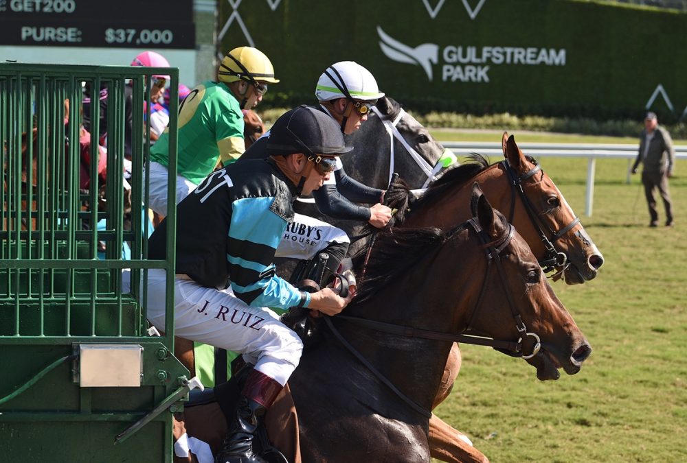 Gulfstream Park - Foto Ryan Thompson - Coglianese Photo