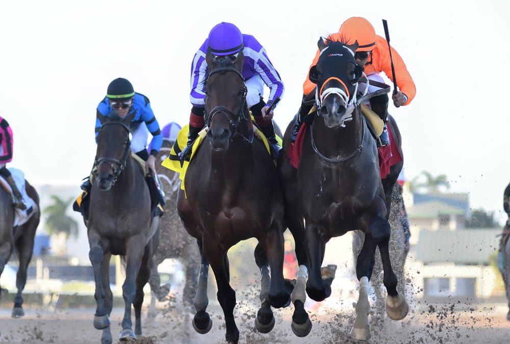 Guns Loaded - Mucho Macho Man - Ryan Thompson/Coglianese Photo