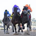 Guns Loaded - Mucho Macho Man - Ryan Thompson/Coglianese Photo