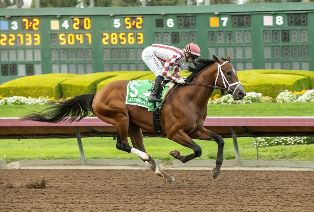 Journalism - Los Alamitos Futurity G2 - Benoit Photo