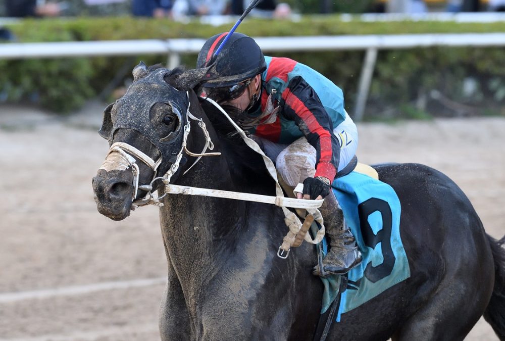 Lightning Tones - Sunshine Classic Stakes - Ryan Thompson/Coglianese Photo