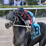 Lightning Tones - Sunshine Classic Stakes - Ryan Thompson/Coglianese Photo