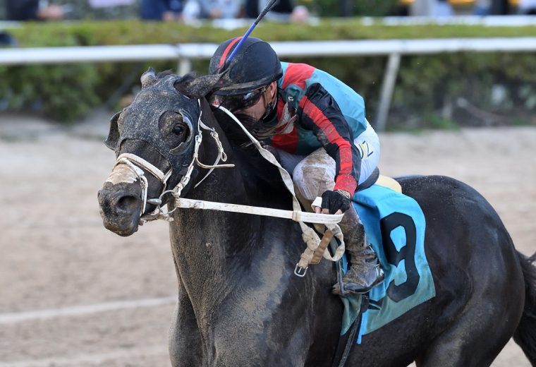 Lightning Tones - Sunshine Classic Stakes - Ryan Thompson/Coglianese Photo