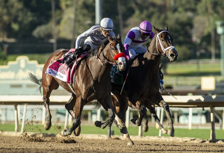 Look Forward - Santa Ynez Stakes - Benoit Photo