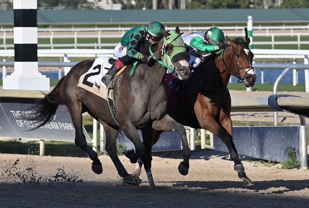 Lure Him In - Lauren King - Coglianese Photo