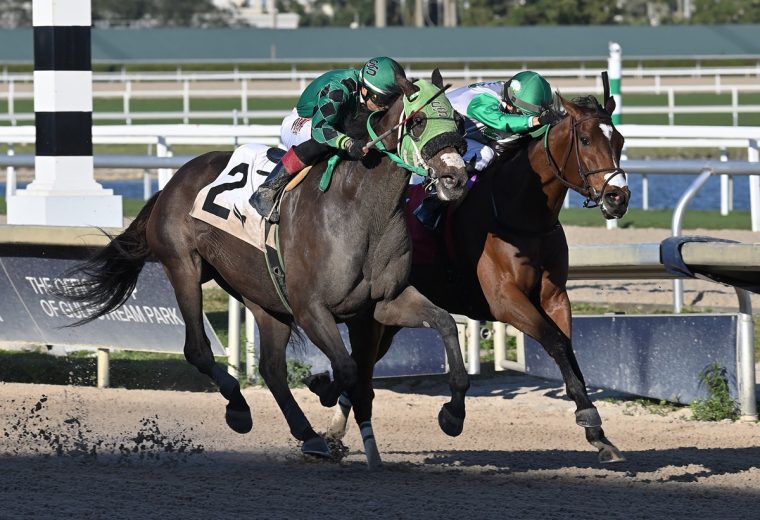 Lure Him In - Lauren King - Coglianese Photo