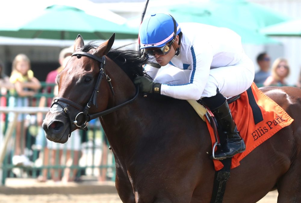 Owen Almighty - Ellis Park Juvenile Stakes - Coady Media