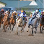 White Abarrio - Coglianese Photo