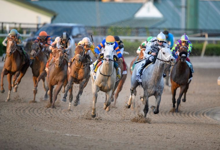 White Abarrio - Coglianese Photo