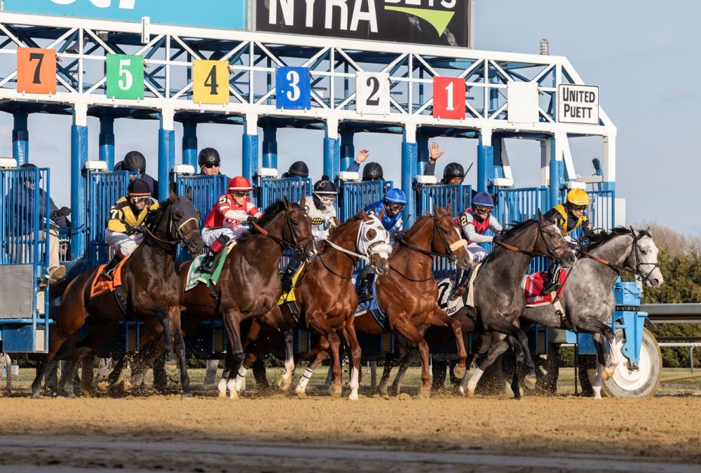 Poster - Remsen Stakes G2 Start - Coglianese Photo