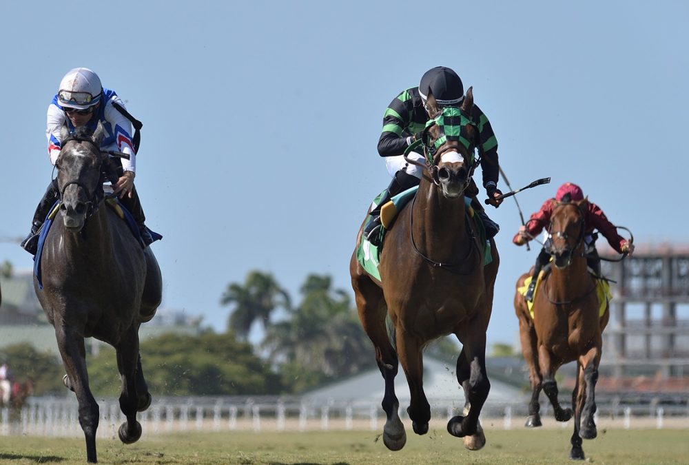 Prevent - Ryan Thompson/Coglianese Photo