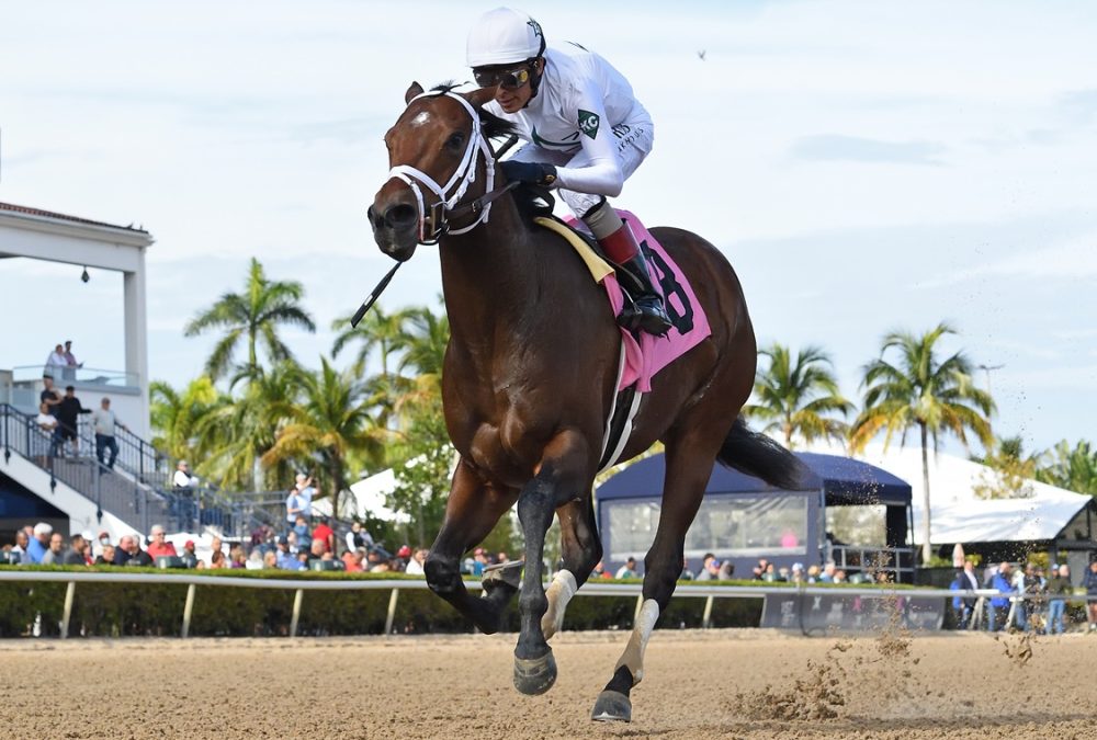 River Thames - Ryan Thompson/Coglianese Photo