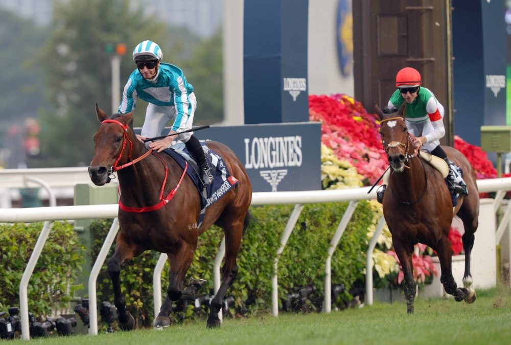 Romantic Warrior - Hong Kong Cup - Foto Hong Kong Jockey Club