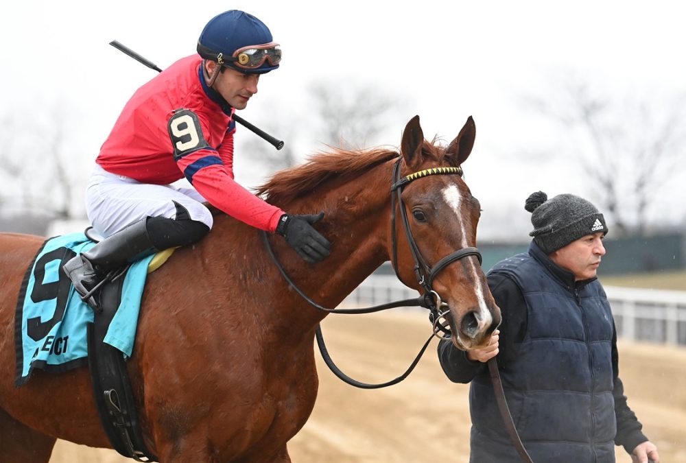 Running Away - Busanda Stakes - Coglianese Photo