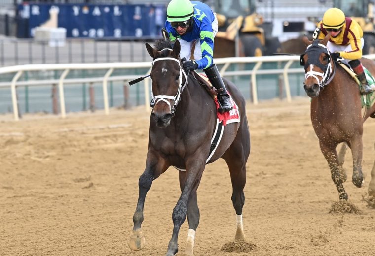 Tizzy in the Sky - Ladies Stakes - Chelsea Durand/Coglianese Photo