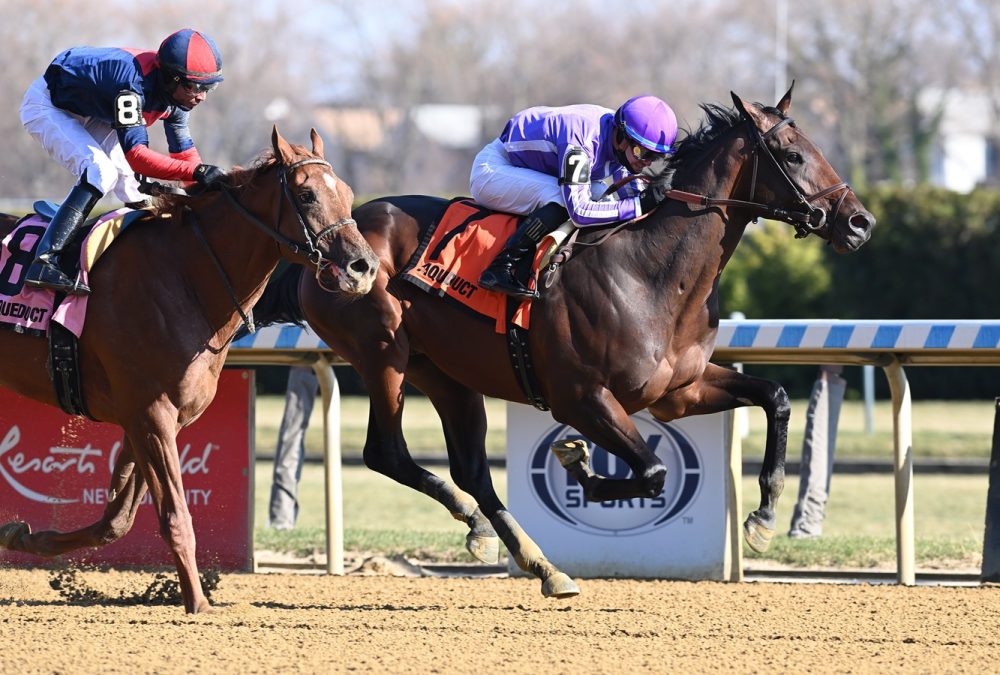 Treaty of Rome - Coglianese Photo