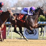 Treaty of Rome - Coglianese Photo