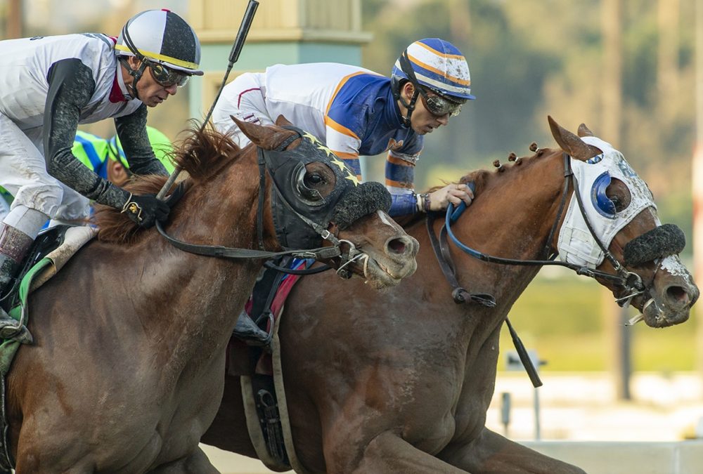 Whiskyginandbrandy - Cal Cup Derby - Benoit Photo