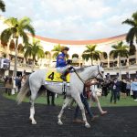 White Abarrio - Gulfstream Park - Photo Lauren King - Coglianese Photo