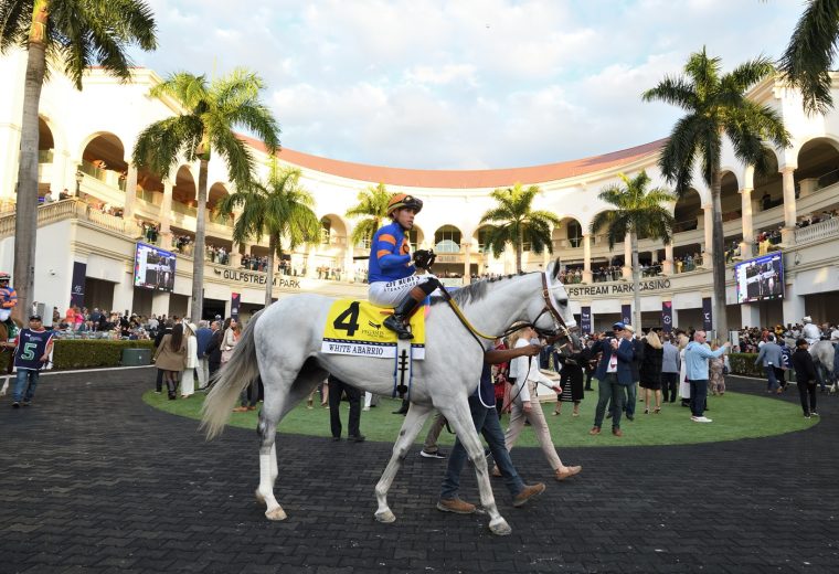 White Abarrio - Gulfstream Park - Photo Lauren King - Coglianese Photo