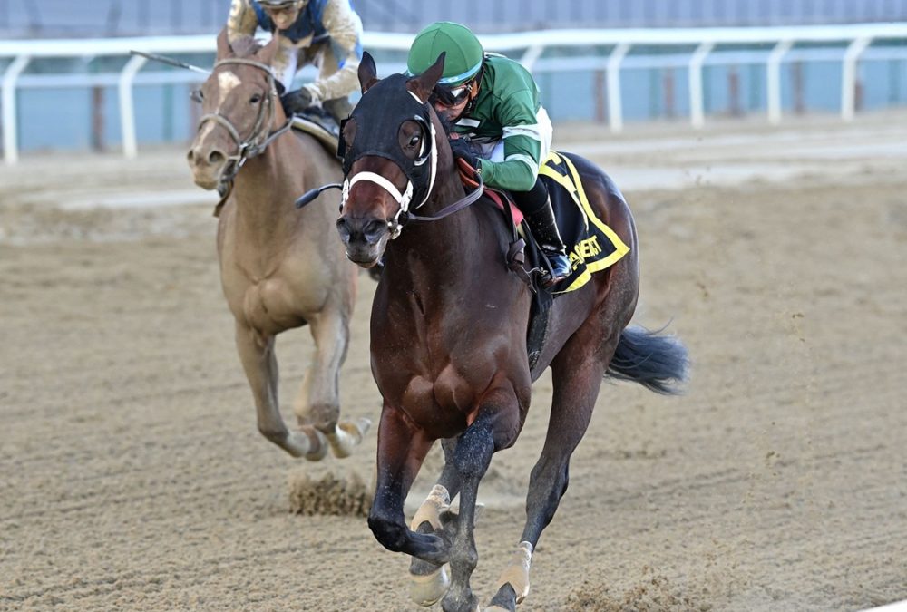 Captain Cook - Withers Stakes - Joe Labozetta/Coglianese Photo