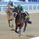 Captain Cook - Withers Stakes - Joe Labozetta/Coglianese Photo