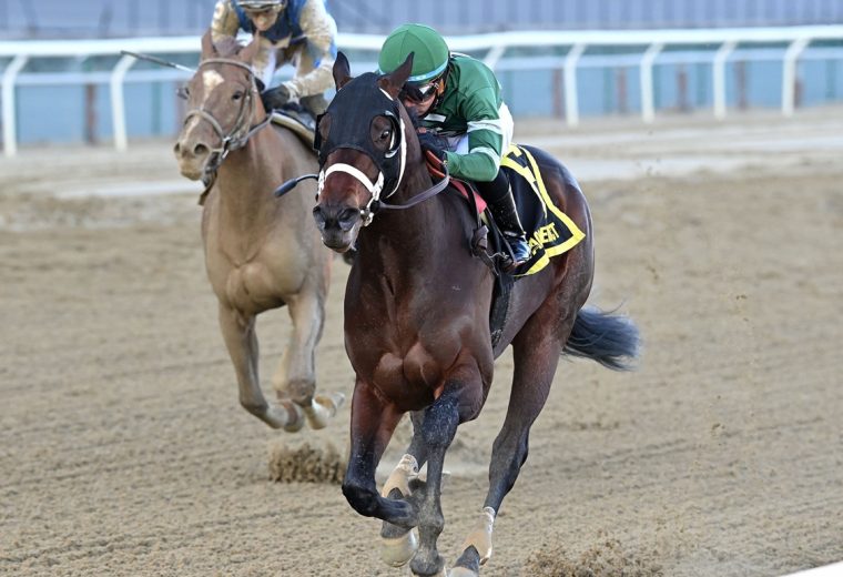 Captain Cook - Withers Stakes - Joe Labozetta/Coglianese Photo