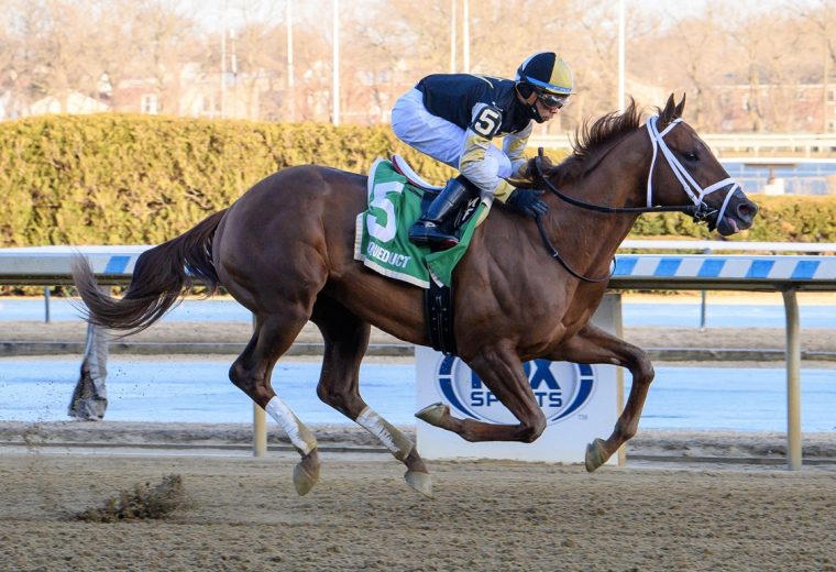 Colloquial - Coglianese Photo