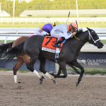 Dazzling Move - Royal Delta Stakes G3 - Lauren King/Coglianese Photo