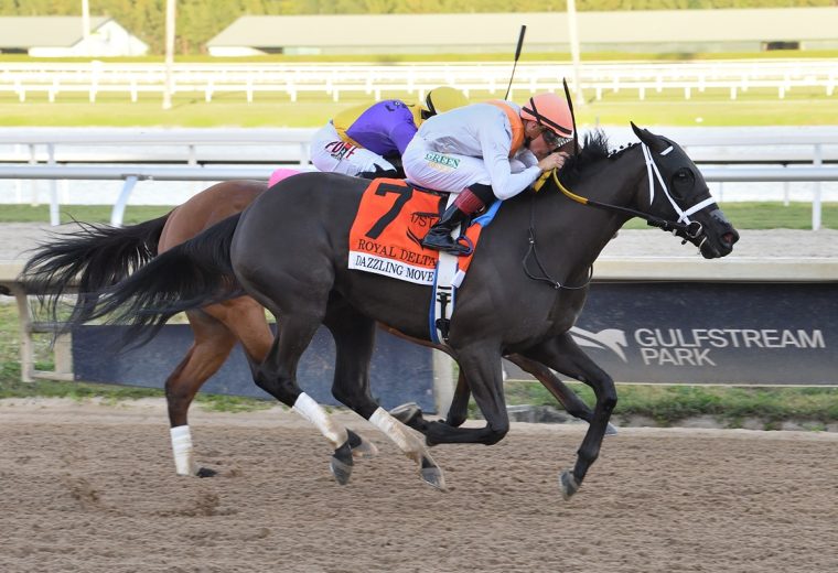 Dazzling Move - Royal Delta Stakes G3 - Lauren King/Coglianese Photo